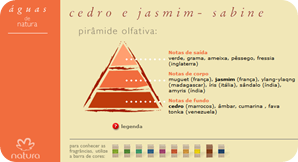 Pirâmide olfativa de Cedro e Jasmim