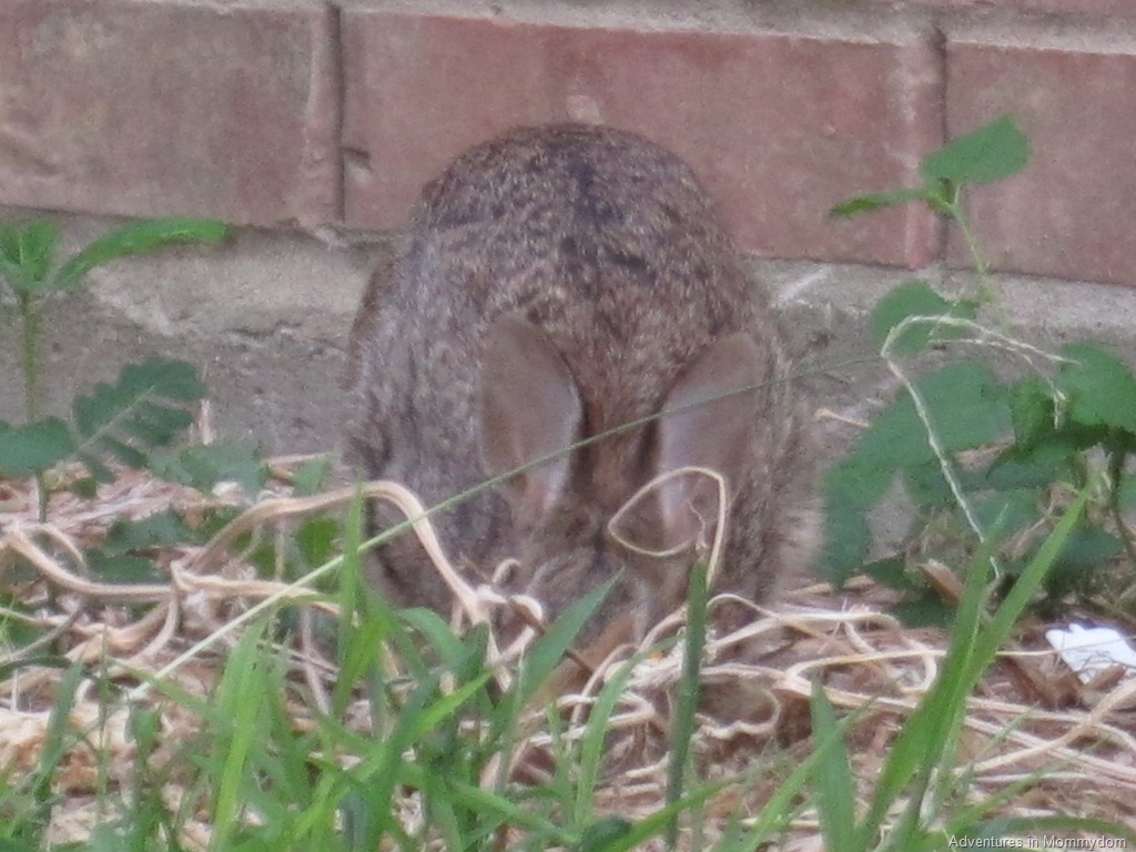 [012%255B7%255D.jpg]