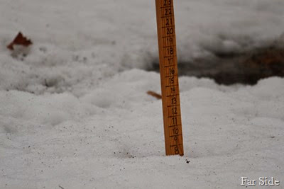 8 inches of snow March 31