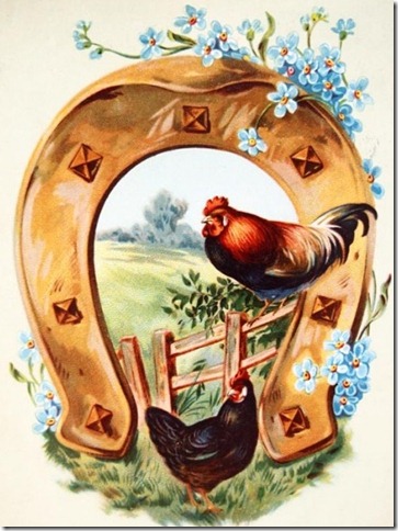 vintage hen postcard