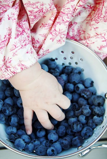 [First%2520Blueberry%2520Harvest%2520at%2520A%2520Country%2520Farmhouse%255B3%255D.jpg]
