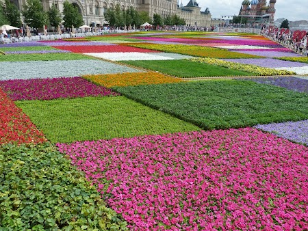 Covor floral la Moscova