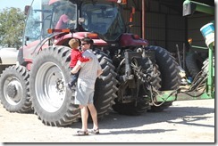 IMG_1013 IMG_1013