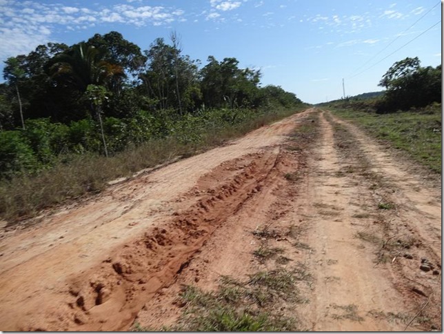 BR-319_Humaita_Manaus_Day_2_DSC05342 BR-319_Humaita_Manaus_Day_2_DSC05342