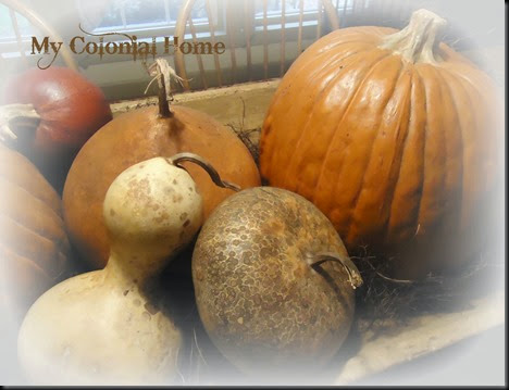 Gourds in trencher