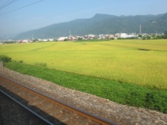 110709 014-火車(往花蓮)