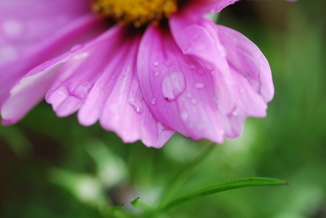 Droplet on cosmos