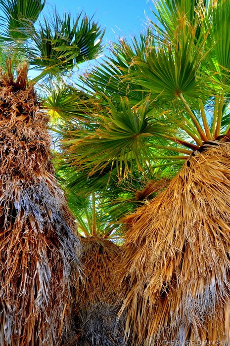 [DSC_0020%255B5%255D.jpg]