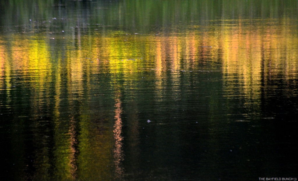 [DSC_0002-002%255B4%255D.jpg]