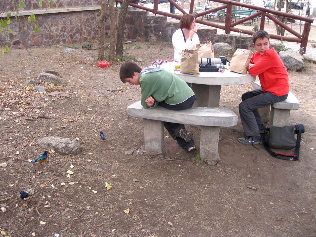 [IMG_1274%255B3%255D.jpg]