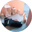 Image Google de Dalila Aider