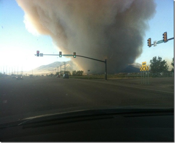 View of fire from redwood