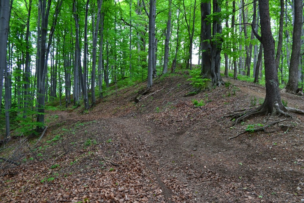 [DSC_11773.jpg]