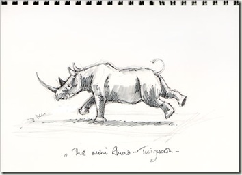 rhino bg