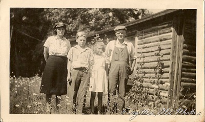 Log Cabin family