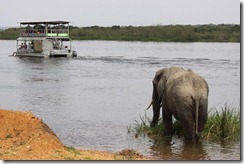 boat ride with elephants