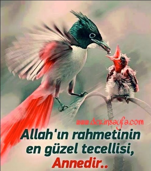 Karşılıksız aşk, ne yapmalı Karşılıksız aşk, ne yapmalı