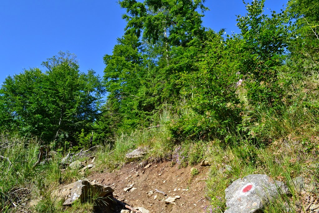 [DSC_88953.jpg]