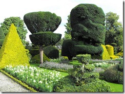levens hall  topiary 20