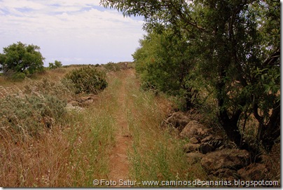 5829 Pico las Nieves-Temisas 5829 Pico las Nieves-Temisas