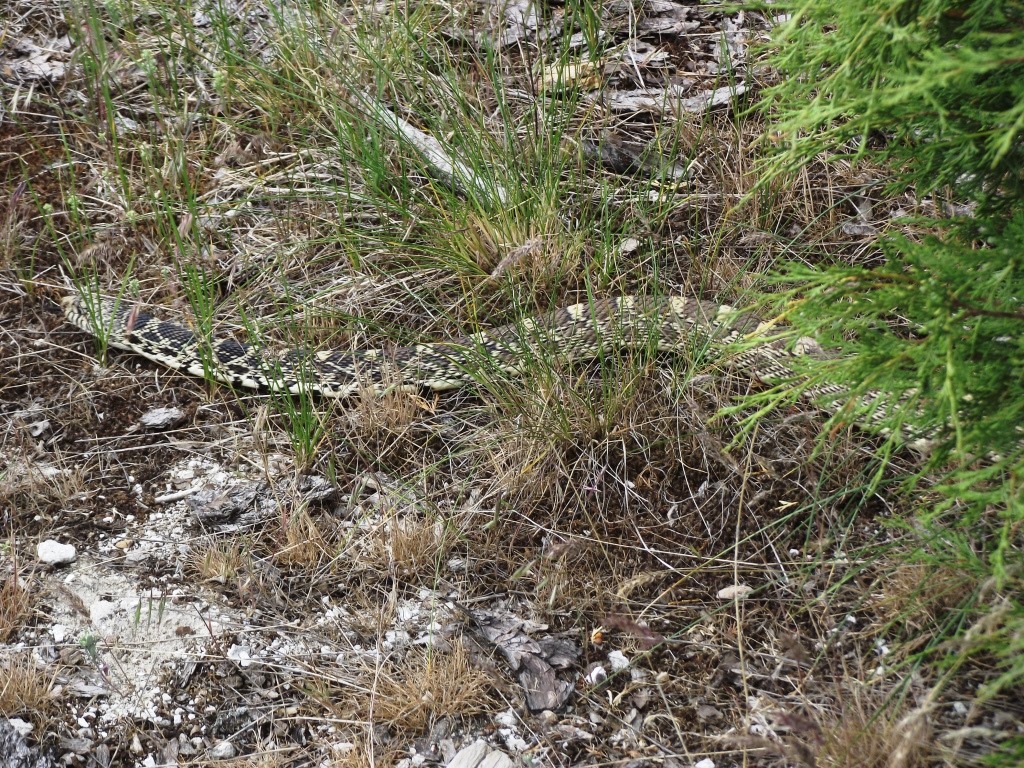 [DSCF9086%2520-%2520Kopie%255B1%255D.jpg]