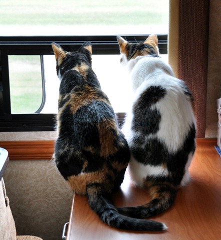 [DSC_0010%255B3%255D.jpg]