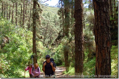 5478 La Laguna-Vueltas Acero-Firgas 5478 La Laguna-Vueltas Acero-Firgas