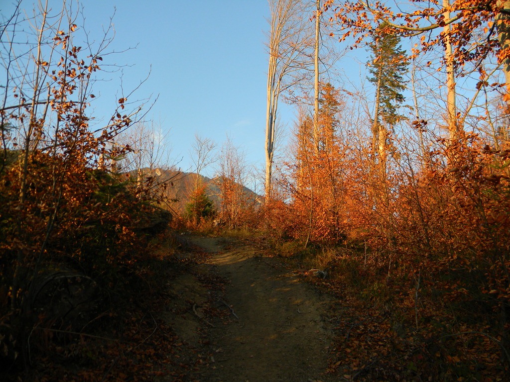 [DSCN16183.jpg]