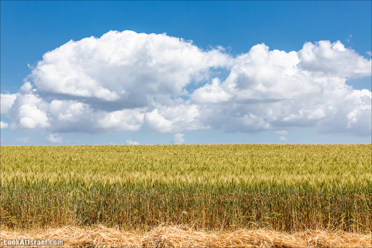 Песах в Долине Родников | Passover in Springs Valley| פסח בעמק המעיינות | LookAtIsrael.com - Фото путешествия по Израилю