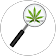 Cannabis I. Cannabis I.