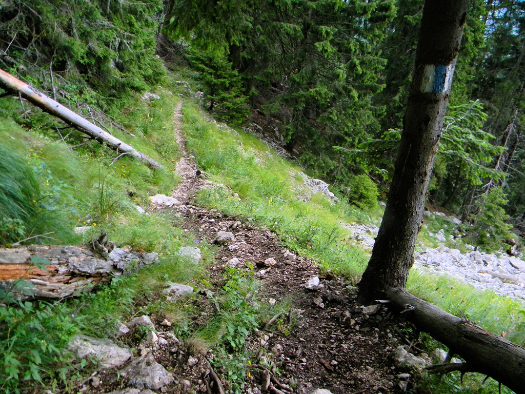 [DSCN91723.jpg]