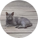 deborah dunlaps profile picture