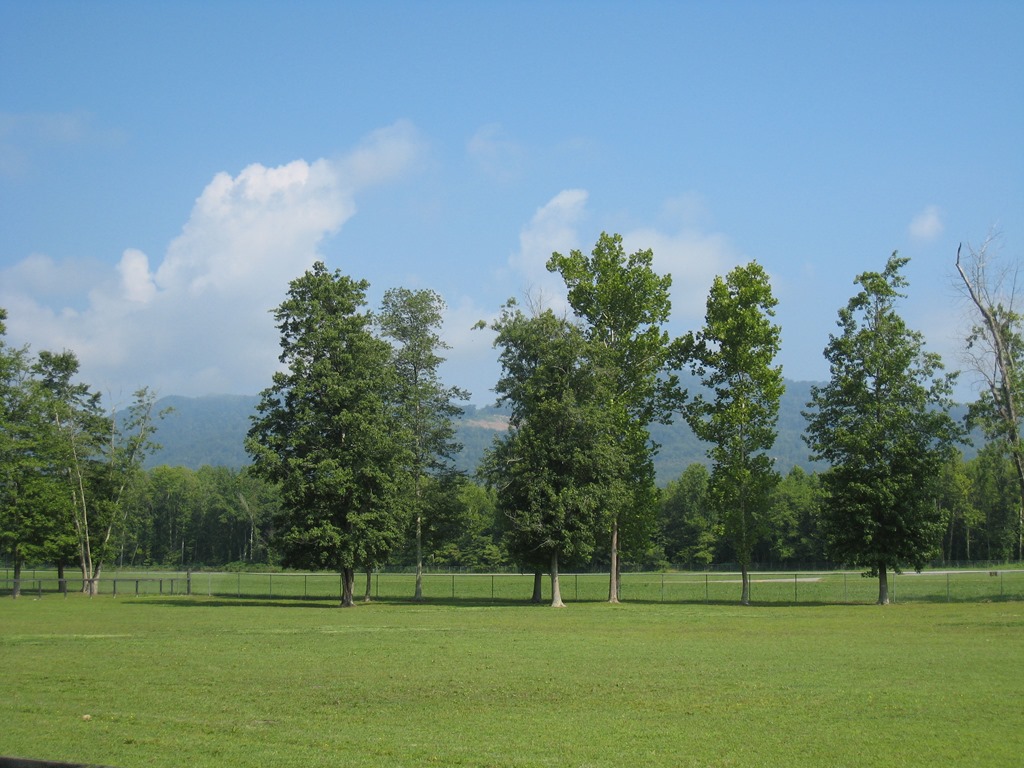 [IMG_2002%255B3%255D.jpg]