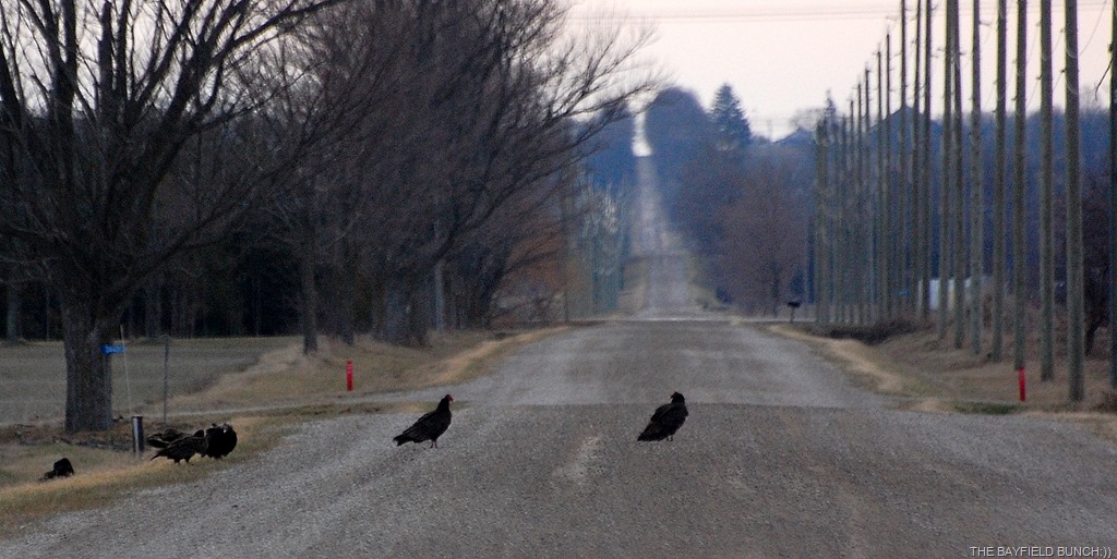 [DSC_3913%255B8%255D.jpg]