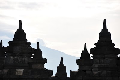 DSC_0480.jpg