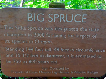 Big Spruce sign