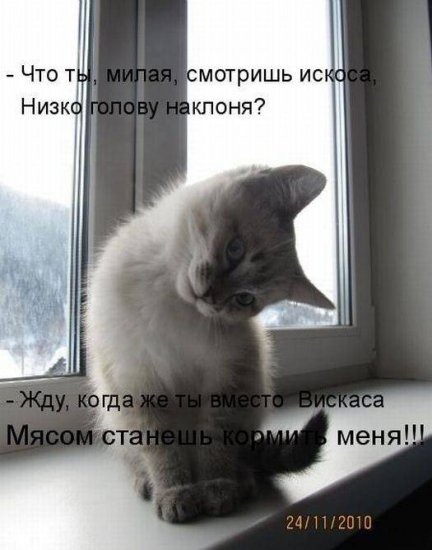 [1331826300_kotomatrix-05%255B2%255D.jpg]