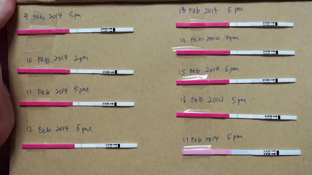 20140217_200820.jpg