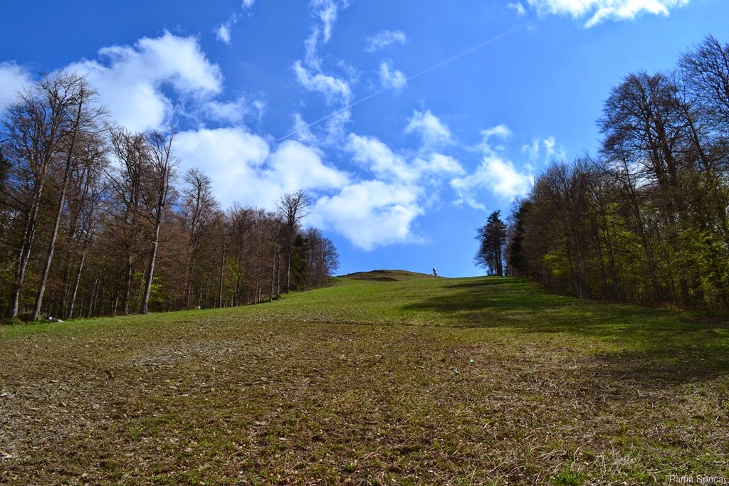 [DSC_01422.jpg]