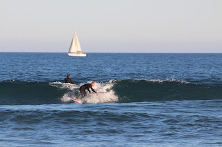 IMG_4309.JPG