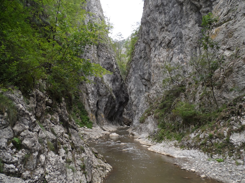 [SAM_41453.jpg]