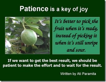 Patience is a key of joy