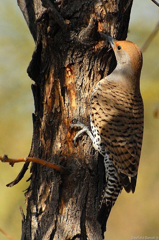 [DSC_2933%255B10%255D.jpg]