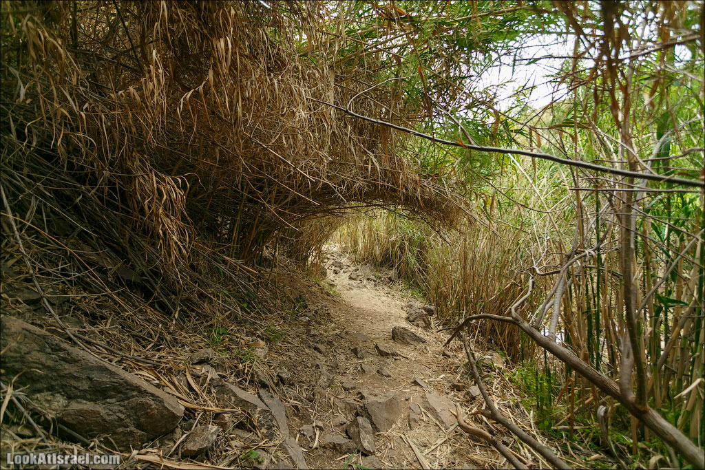 LookAtIsrael.com: Фото-блог о путешествиях по Израилю. Тель Авив, Иерусалим, Хайфа 