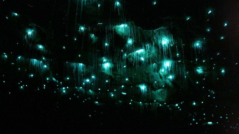 glowworm-caves-waitom-2