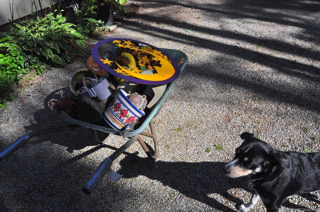 [DSC_0051%255B4%255D.jpg]