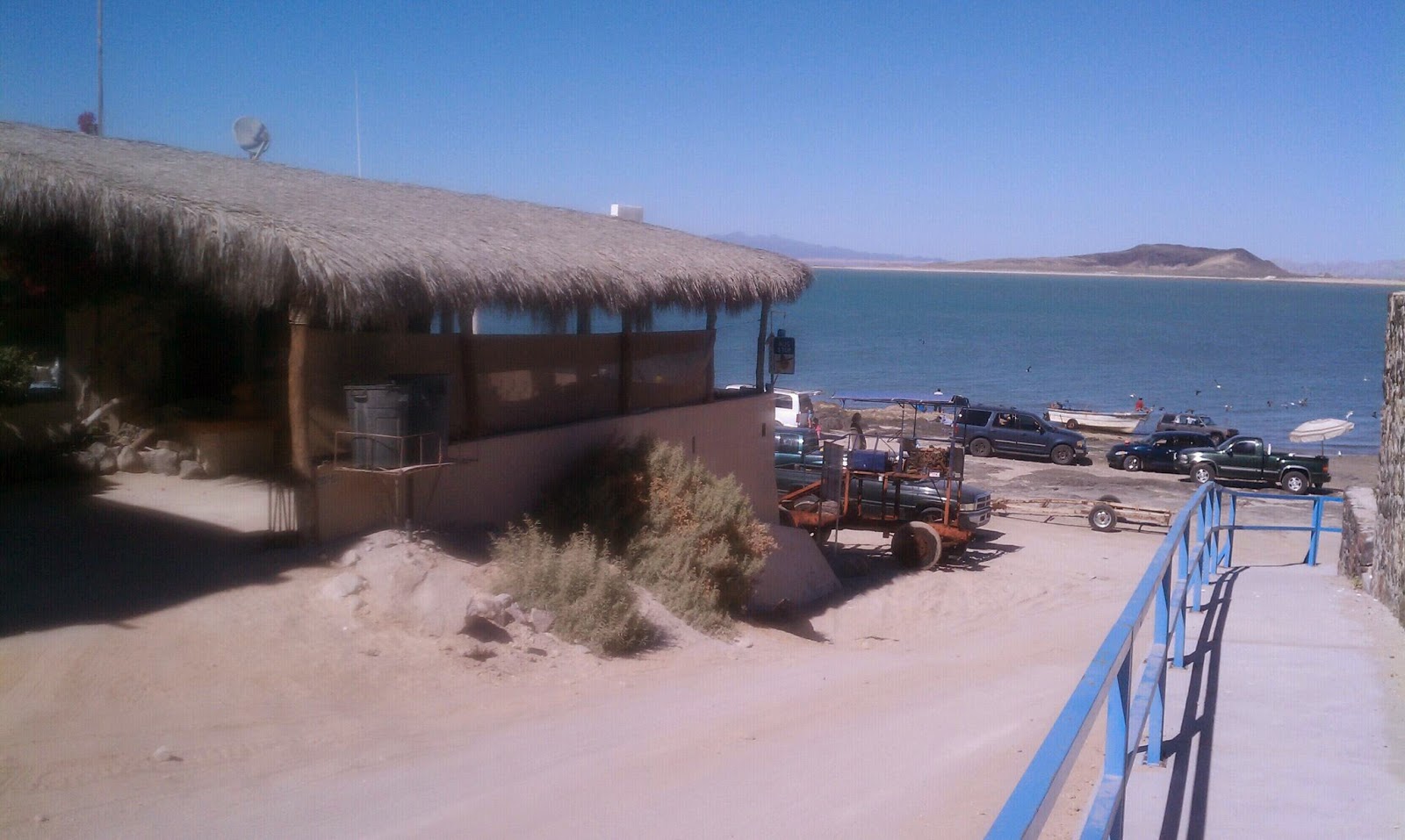 POLITO'S TRAVELS Cholla Bay, Mexico