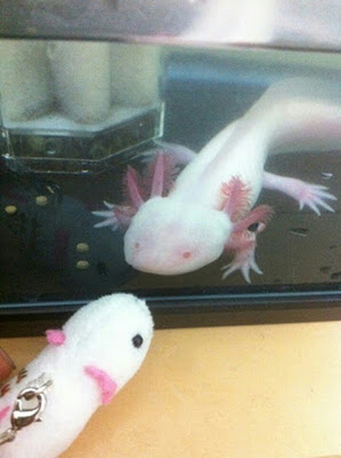 [grfea%255B5%255D.jpg]