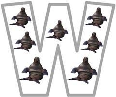Ww walrus