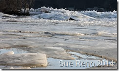 Susquehann River ice jam, by Sue Reno, Image 8